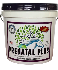 Prenatal Plus