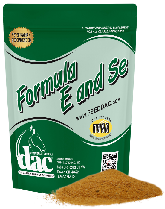 dac Formula E and Se